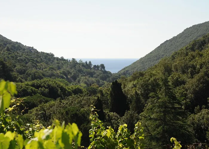 Miramare Ortano